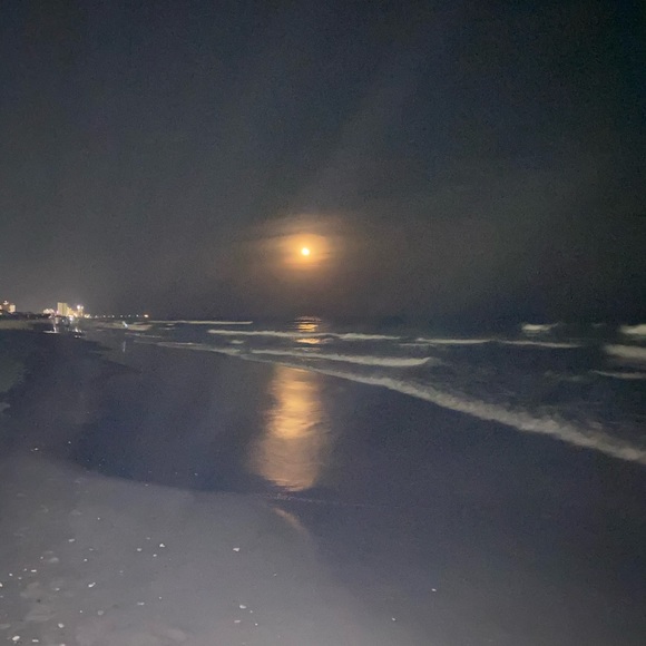 Meet your Posher, Aj - Picture 2 of 4